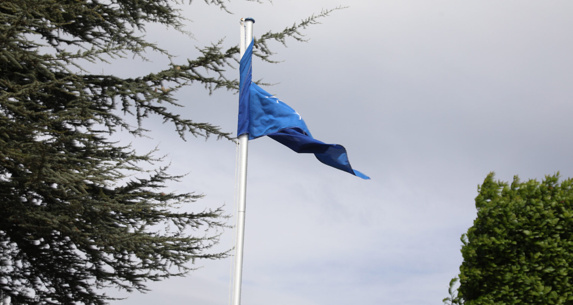 Warnung vor Windböen im Rems-Murr-Kreis und Stuttgart am Freitag und Samstag - Nachrichten aus dem Rems-Murr-Kreis