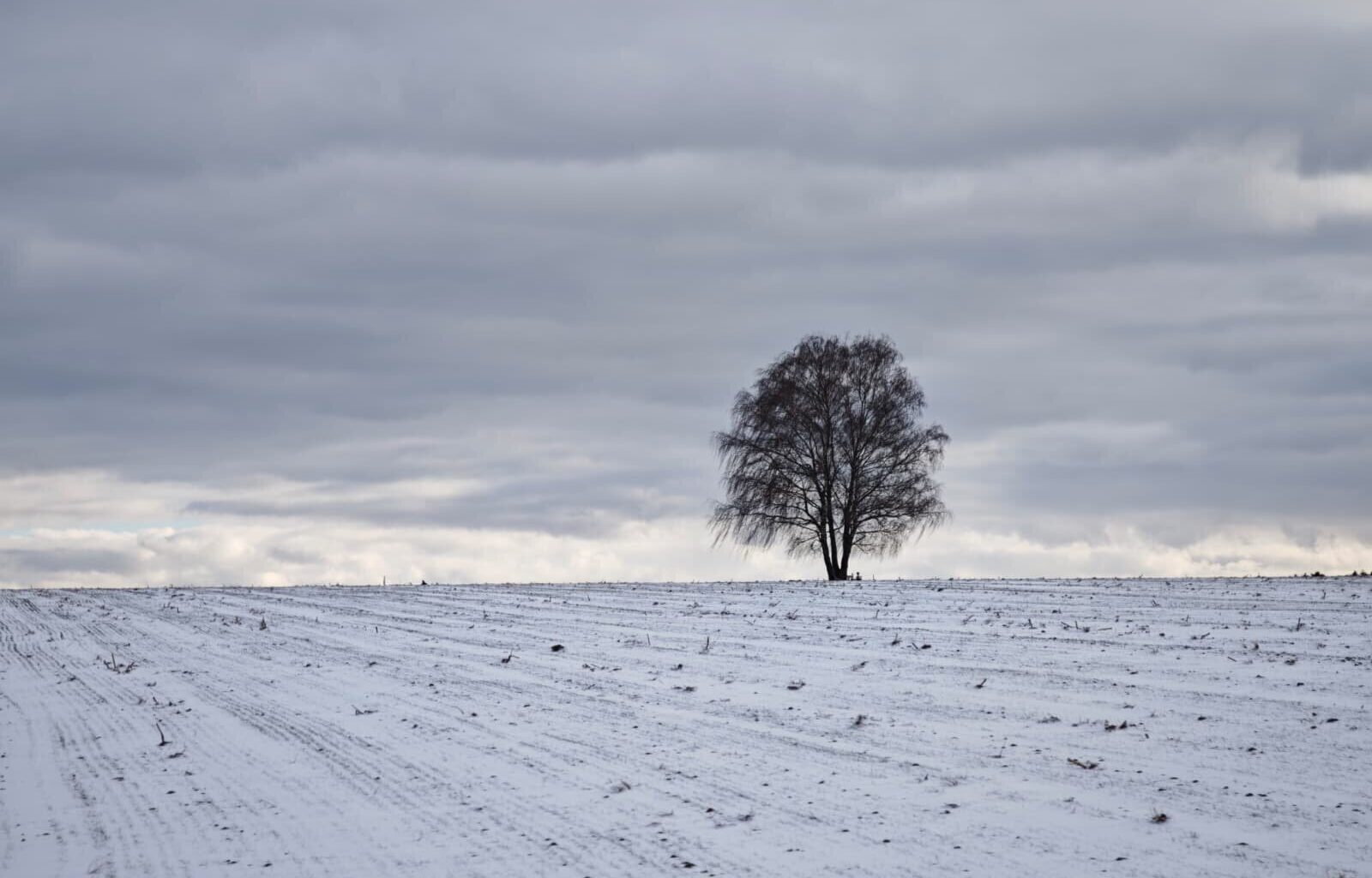 Warnung vor Glätte und leichtem Frost im Rems-Murr-Kreis und in Stuttgart - Nachrichten aus dem Rems-Murr-Kreis