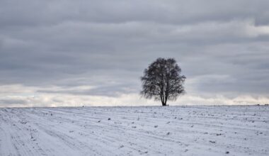 Warnung vor Glätte und leichtem Frost im Rems-Murr-Kreis und in Stuttgart - Nachrichten aus dem Rems-Murr-Kreis