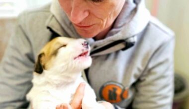 Tierschutzverein aus Fellbach rettet Straßentiere und pocht auf Kastration - Nachrichten aus Fellbach