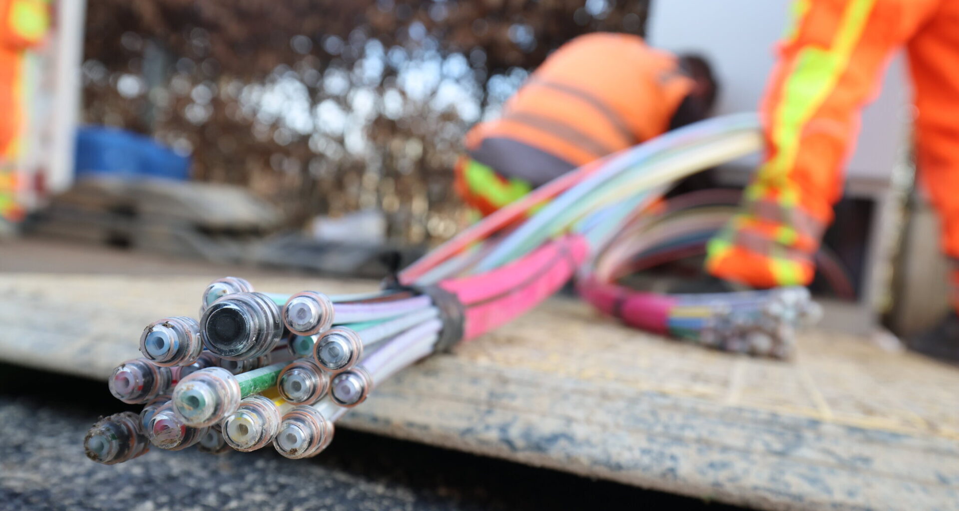 Reinhold Manz Autorenbild Profilbild Köpfle