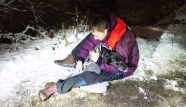 Rettung dauert vier Stunden: Hündin Lucie bricht in Hamburg ins Eis ein | Regional