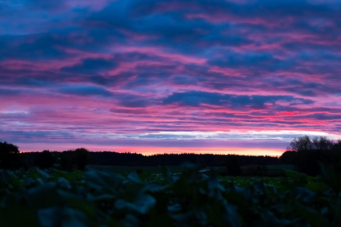 Farbenfrohe Morgendämmerung in Bayern: Ein Herbsttag, der ungemütlich werden könnte.