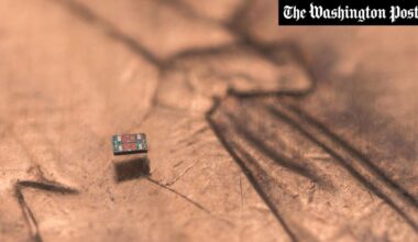 Der kleinste denkende Roboter der Welt