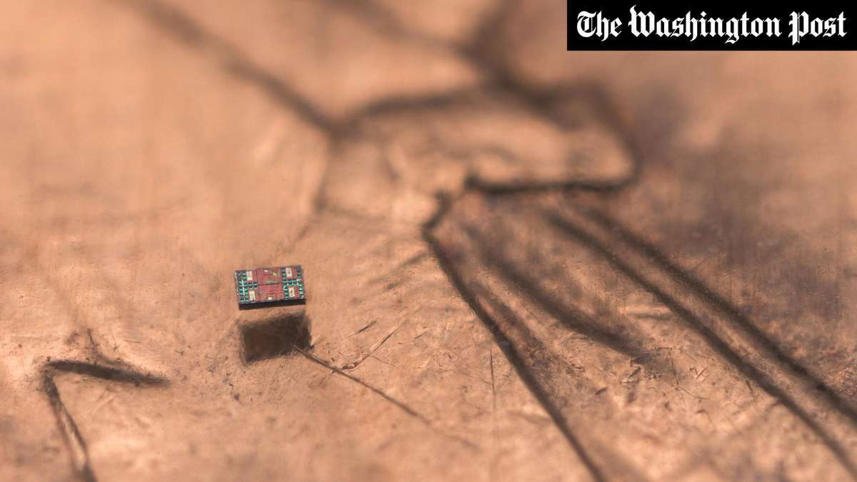 Der kleinste denkende Roboter der Welt