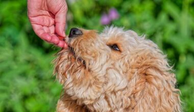 „Vom Verfüttern wird dringend abgeraten“
