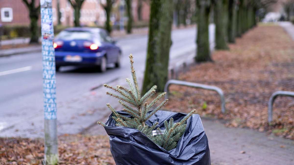 Hier kann man in München kostenlos den Christbaum entsorgen