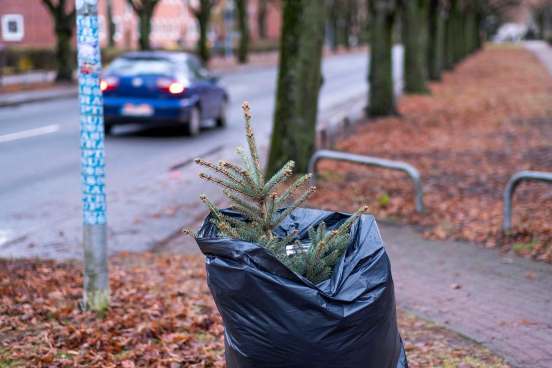 In München gibt es zahlreiche Möglichkeiten, um seinen Christbaum legal zu entsorgen.
