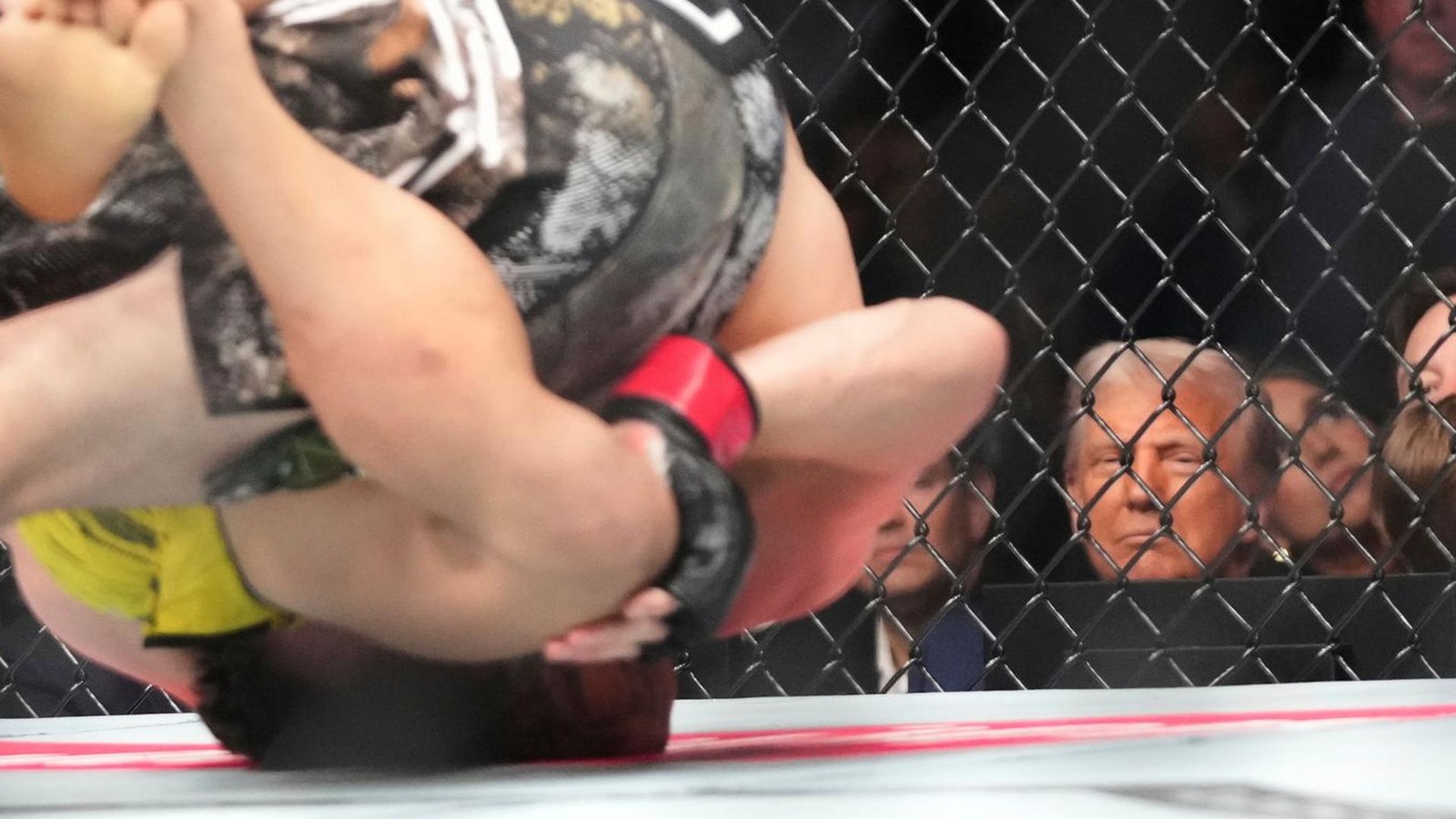 G7-Gipfel verschoben – weil Donald Trump Käfigkampf liebt