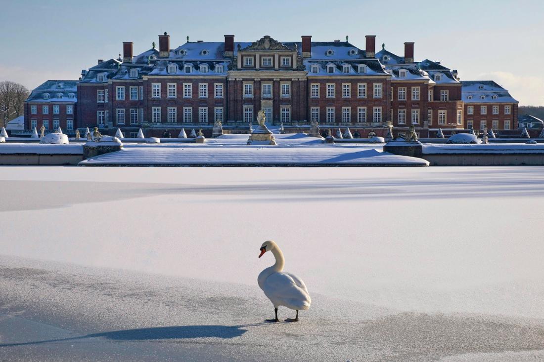 Park bei Schloss Nordkirchen im Winter mit einem Hoeckerschwan auf dem Eis, Münsterland, NRW, Deutschland