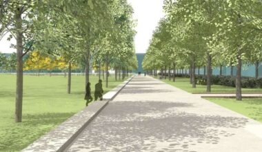 Der Europagarten wird klimafest – 66 kranke Bäume müssen weichen