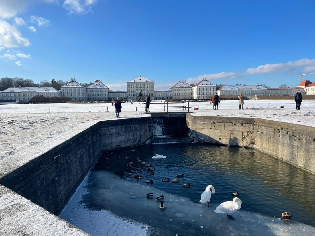 Schwäne und Enten erfreuten sich an der aktuell ungewohnt kleinen Stelle fließenden Wassers im Kanal. 