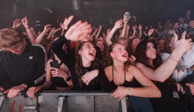 eine Typologie der Hamburger Konzertfans