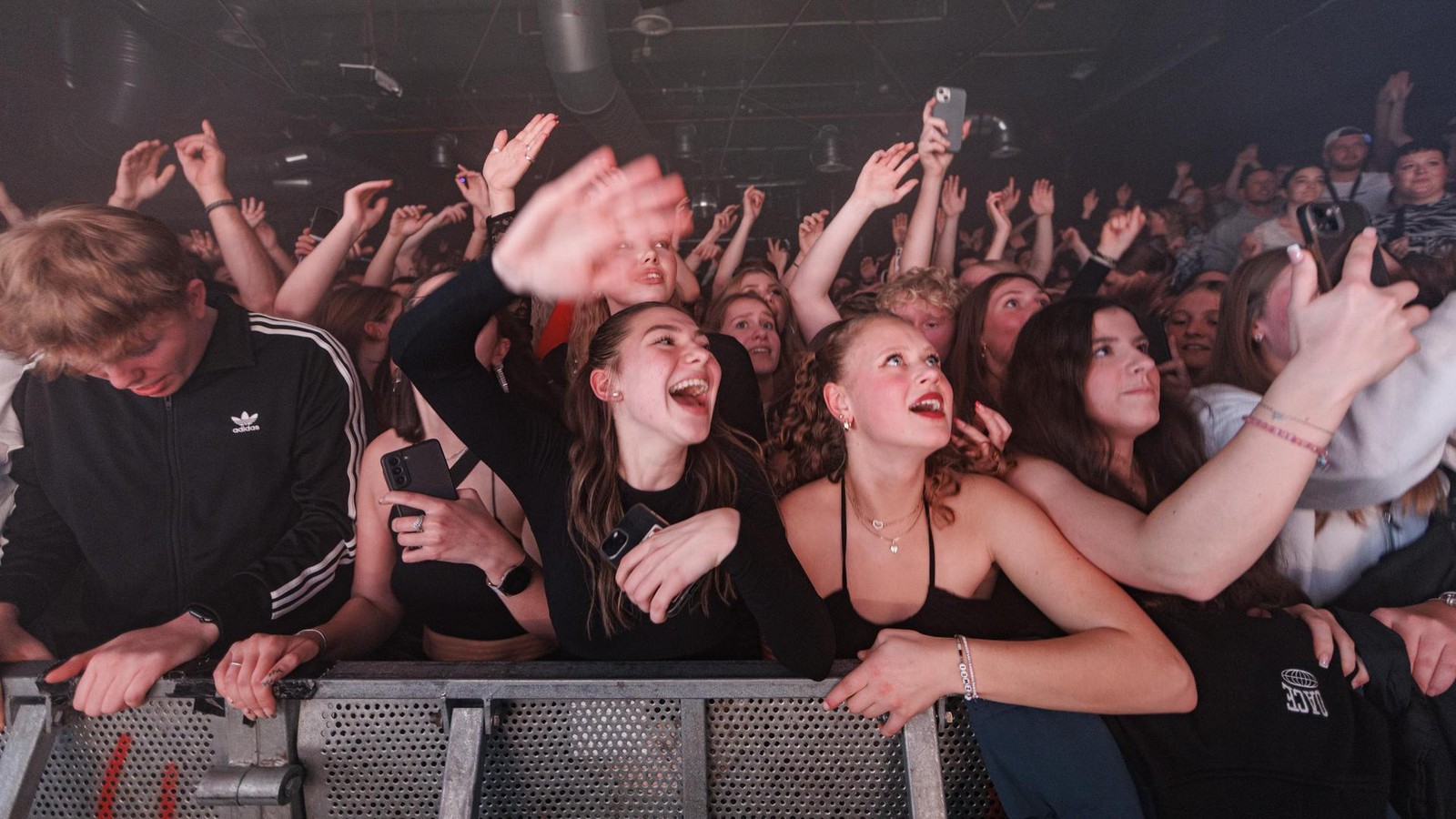 eine Typologie der Hamburger Konzertfans