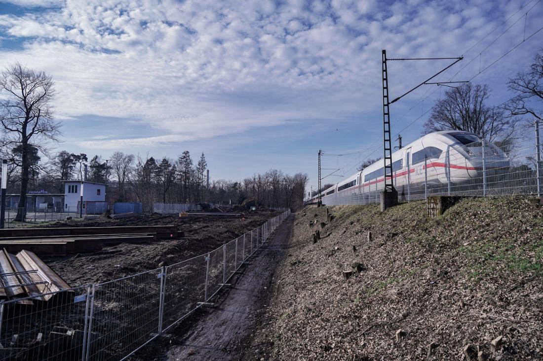 Bitte ein Foto von den abgeholzten Bäumen am Stadion, im Bereich rechts des Eingangs E1, Mörfelder Landstraße. Entlang der bestehenden Bahnstrecke (Mainbahn) werden für die Regionaltangente West im Bereich Stadion viele Bäume zwischen Mörfelder Landstraße und Gleisdreieck gefällt oder werden es noch. Christoph Boeckheler 29.01.2024copyright boeckheler 2024