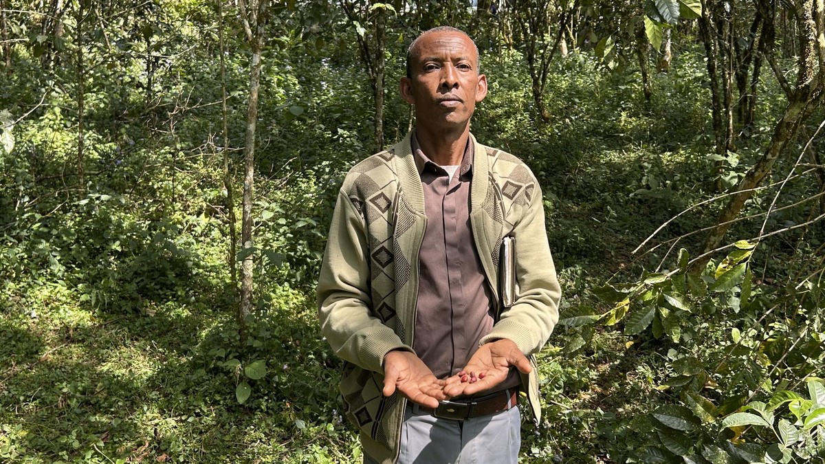 Kaffeebauern in Bonga, Äthiopien