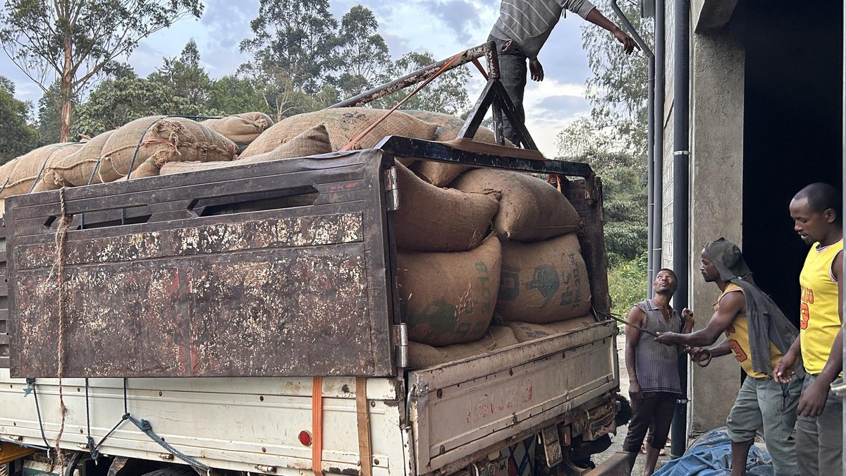 Kaffeebauern in Bonga, Äthiopien