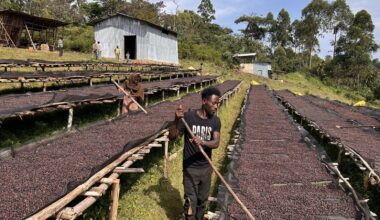 „Preis wird wohl steigen müssen“ – EU-Pläne setzen Bauern unter Druck