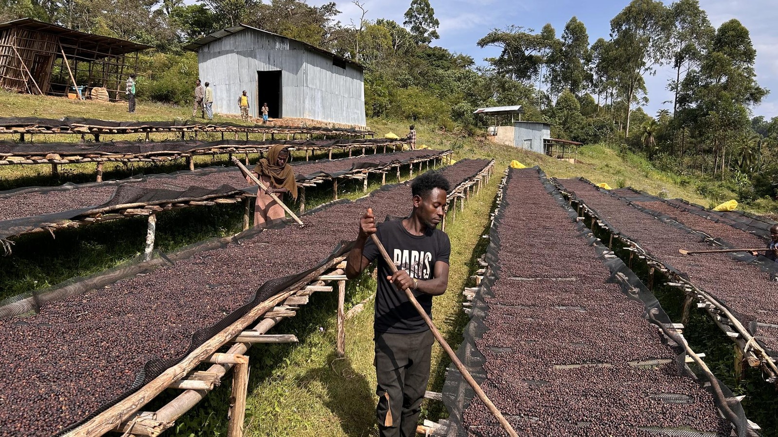 „Preis wird wohl steigen müssen“ – EU-Pläne setzen Bauern unter Druck