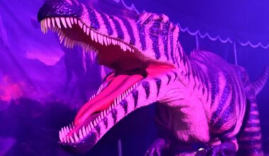 Riesige Dinosaurier – neue Ausstellung öffnet bald