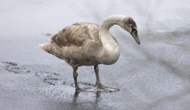 So sind die Wetter- und Rodel-Aussichten
