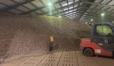 Wir verschenken 4000 Tonnen – Das müssen Sie wissen