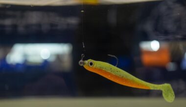 Peta ruft zum Boykott der Duisburger Angelmesse auf