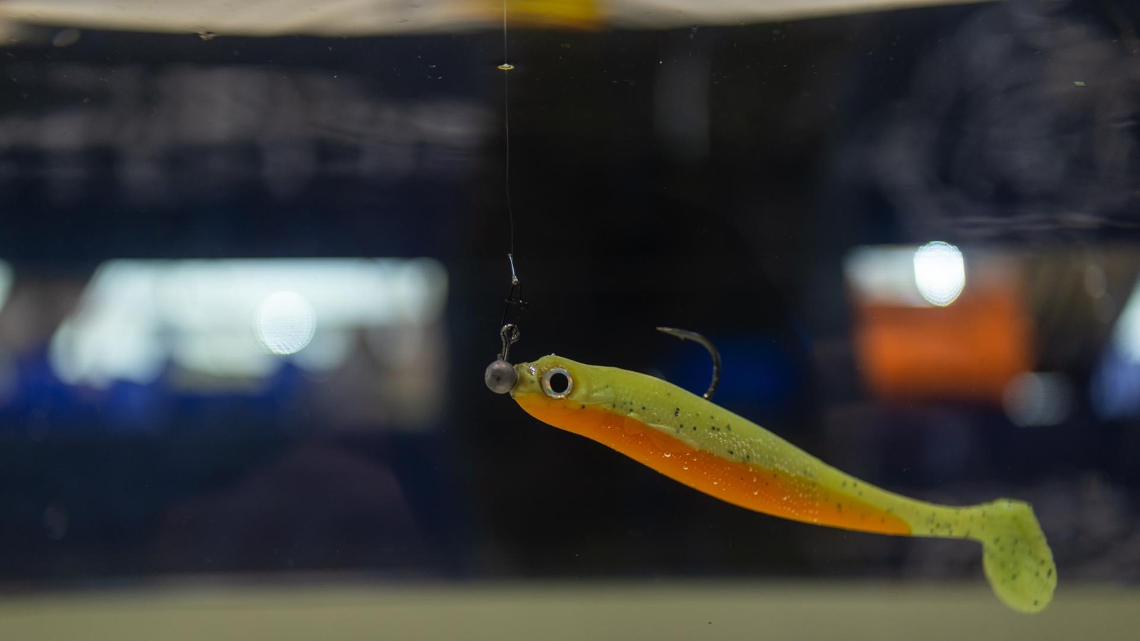 Peta ruft zum Boykott der Duisburger Angelmesse auf