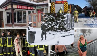 Vom geschlossenen Blumenladen bis Schneechaos: Diese Top-Themen bewegten Wolfenbüttel