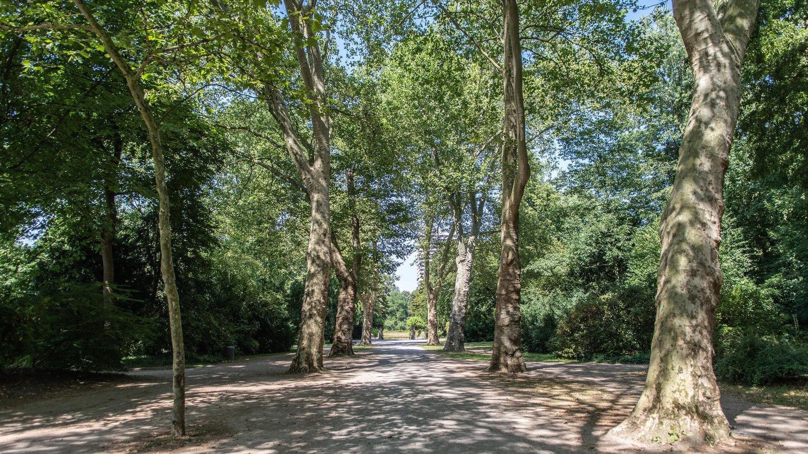 Jugendliche im Stadtgarten Gelsenkirchen niedergestochen