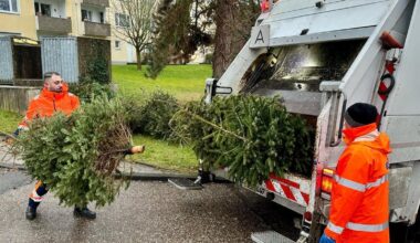 Fast alle Tannenbäume in Essen sind eingesammelt