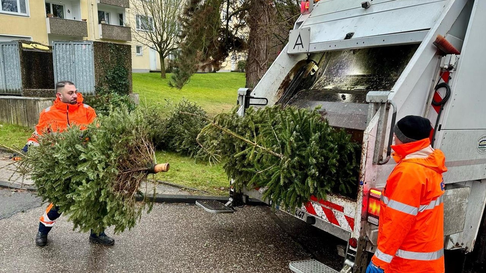 Fast alle Tannenbäume in Essen sind eingesammelt