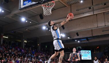 Hamburg Towers entwickeln sich zum Team der Stunde