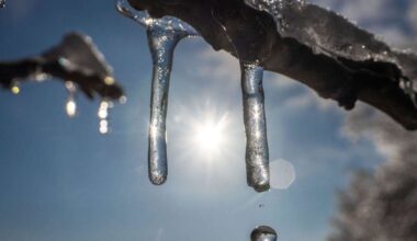 Bauernregel will erklären, wie es mit Winter-Wetter in Frankfurt weitergeht