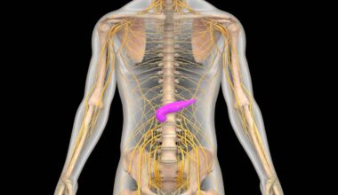 Wie Insulinome den Körper in Gefahr bringen