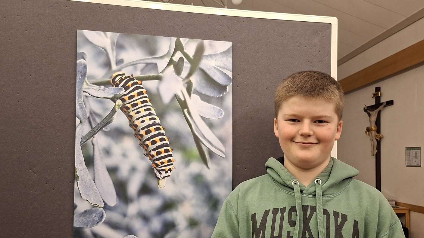  Penzberg - Fotowettbewerb des Fairtrade- und Umweltteams - „Auch so schon schön“: So hat Leon Watzlawek (11) sein Foto von der Raupe des Schwalbenschwanz-Falters genannt. Er holte sich damit den Sieg im Feld der Elf- bis 15-Jährigen. 1/2026