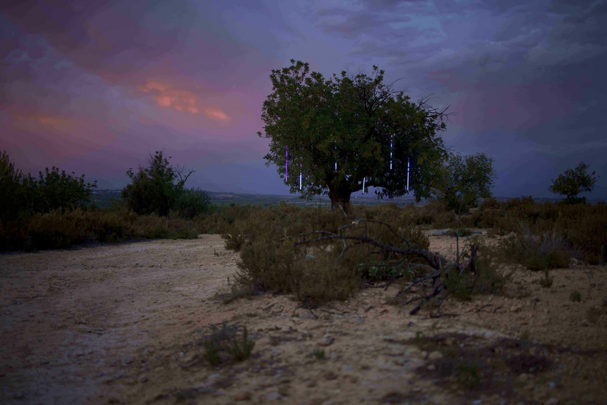Matinee - Eintritt frei: "High Noon – Europa im Energierausch" mit Regiebesuch in Mannheim, Kino, 22.02.2026, Cinema Quadrat