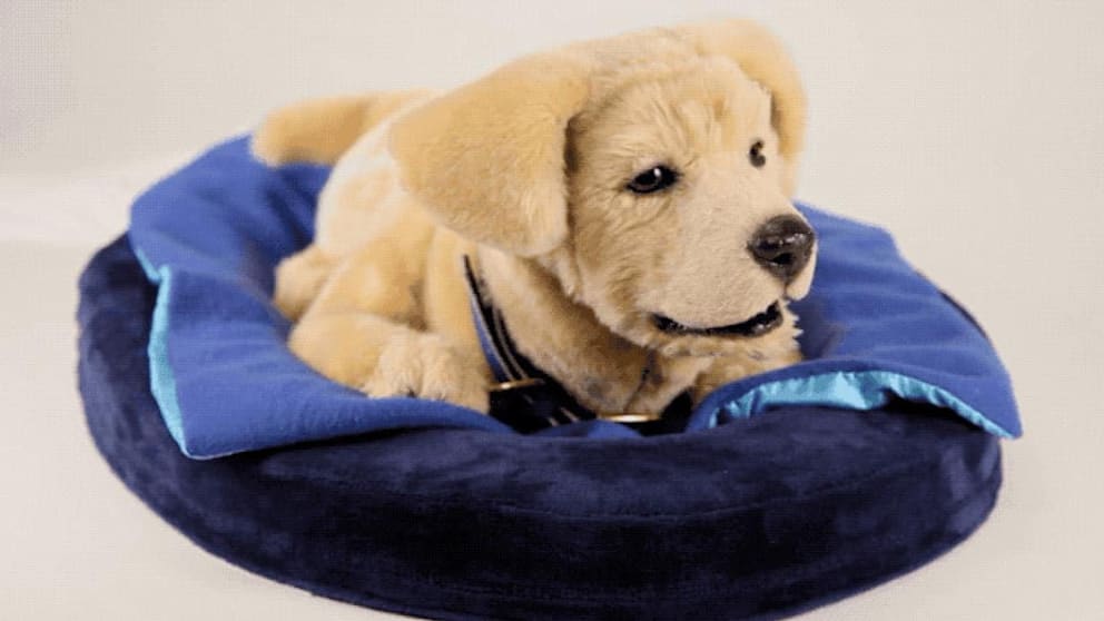 Der KI-Roboterhund „Jennie“ vom US-Unternehmen Tombot wurde als emotionaler Begleiter entwickelt. Er soll auf Stimme und Berührung wie ein echter Welpe reagieren und vor allem Senioren und einsamen Menschen helfen. Jennie macht keinen Dreck, braucht kein Gassi – kann aber Trost spenden.