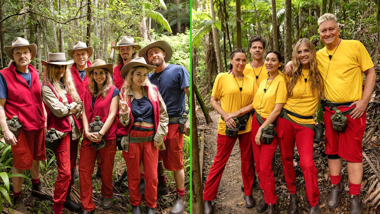 Dschungelcamp 2026: Wem Dr. Bob den Sieg zutraut | Unterhaltung