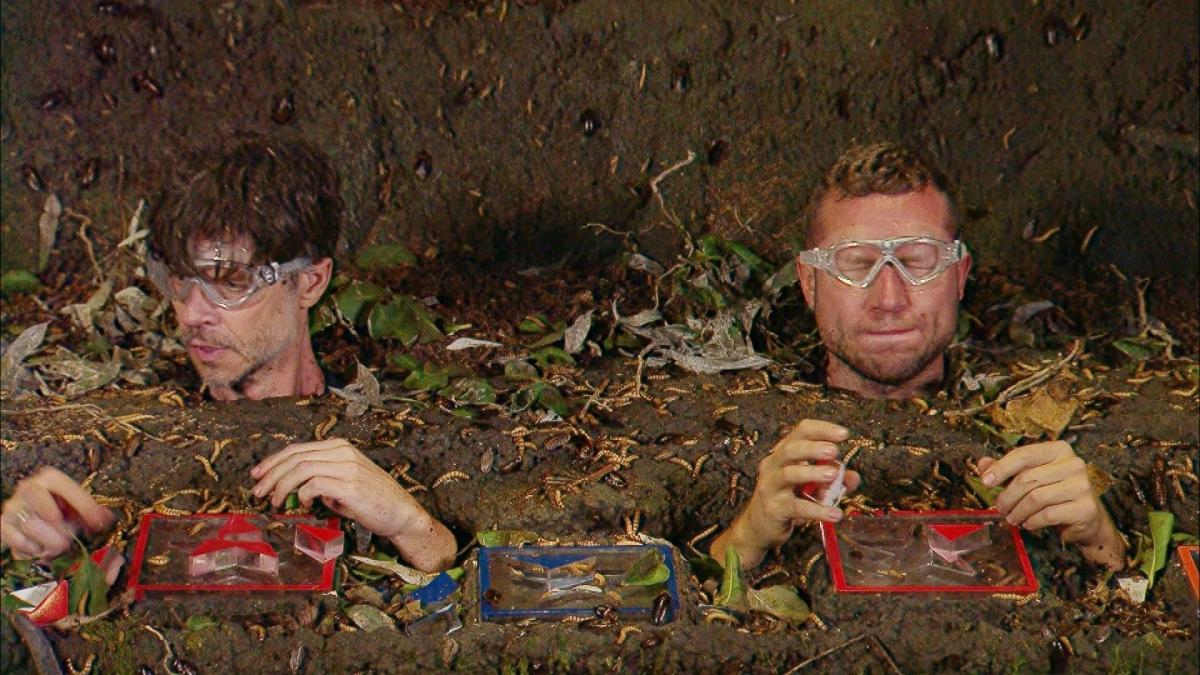 So läuft es für den Dschungelcamp-Kandidaten vom Bodensee