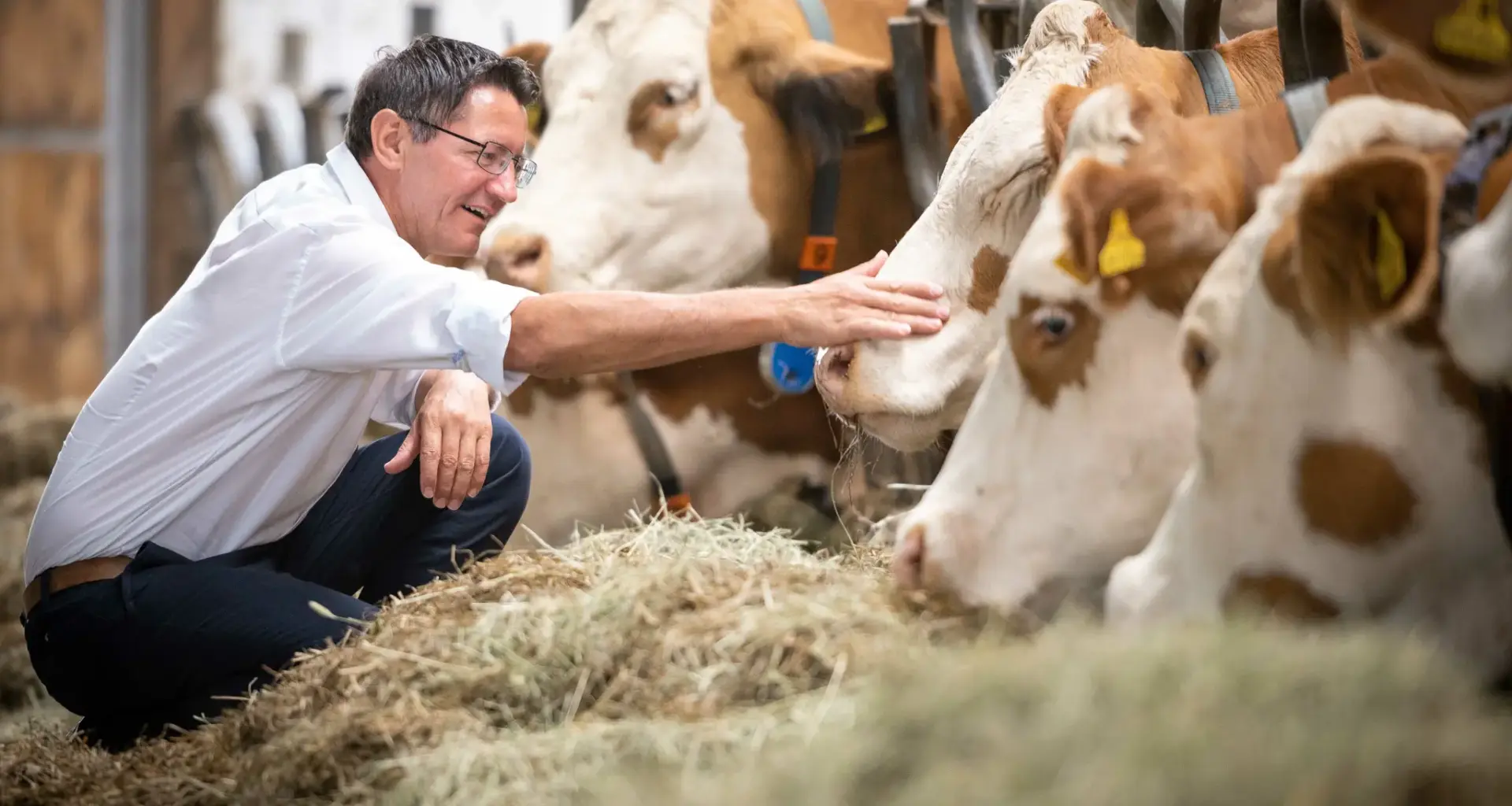 Mercosur-Deal spaltet die Landwirtschaft: EU-Abkommen bringt Chancen – und große Sorgen