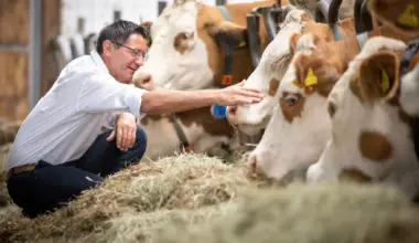 Mercosur-Deal spaltet die Landwirtschaft: EU-Abkommen bringt Chancen – und große Sorgen