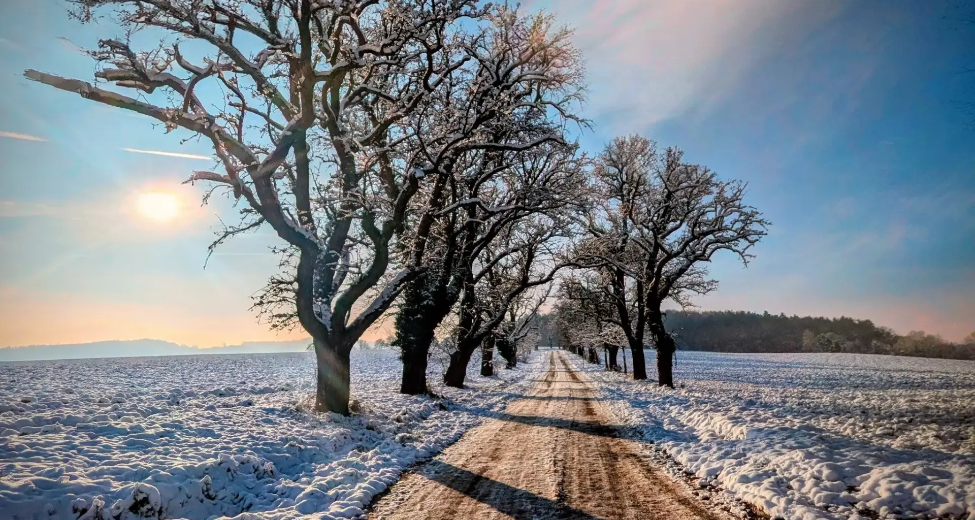 Titelbild-Challenge „Fotografie in St. Pölten“: Bild des Monats Februar wurde gewählt.