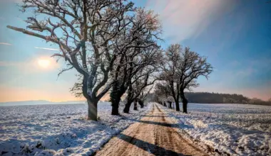 Titelbild-Challenge „Fotografie in St. Pölten“: Bild des Monats Februar wurde gewählt.