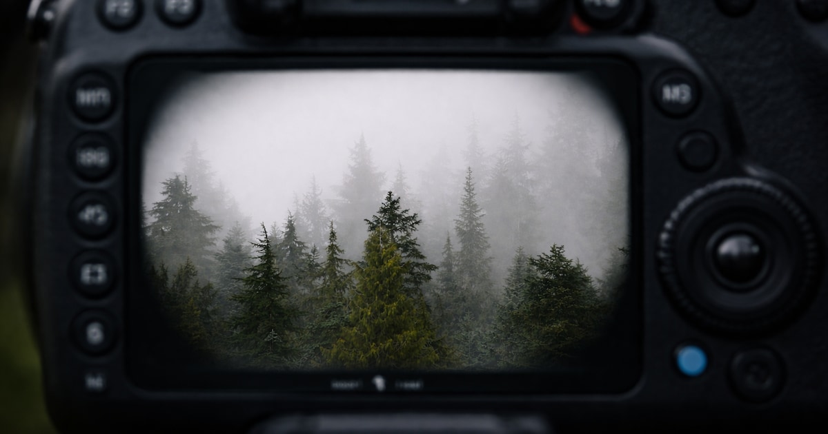 Regen, Nebel, Schnee: So nutzen Sie schlechtes Wetter für bessere Fotos