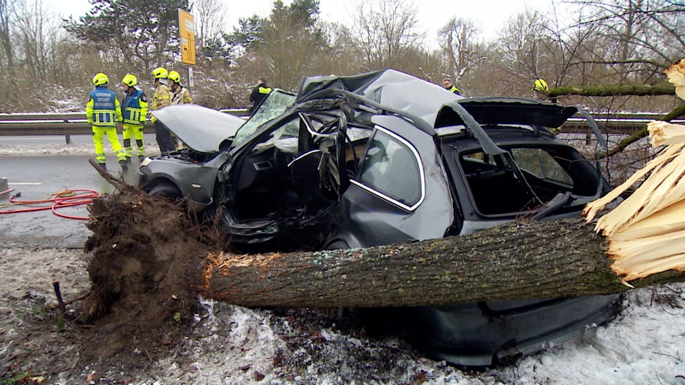 Der BMW kam von der Fahrbahn ab und krachte gegen den Baum