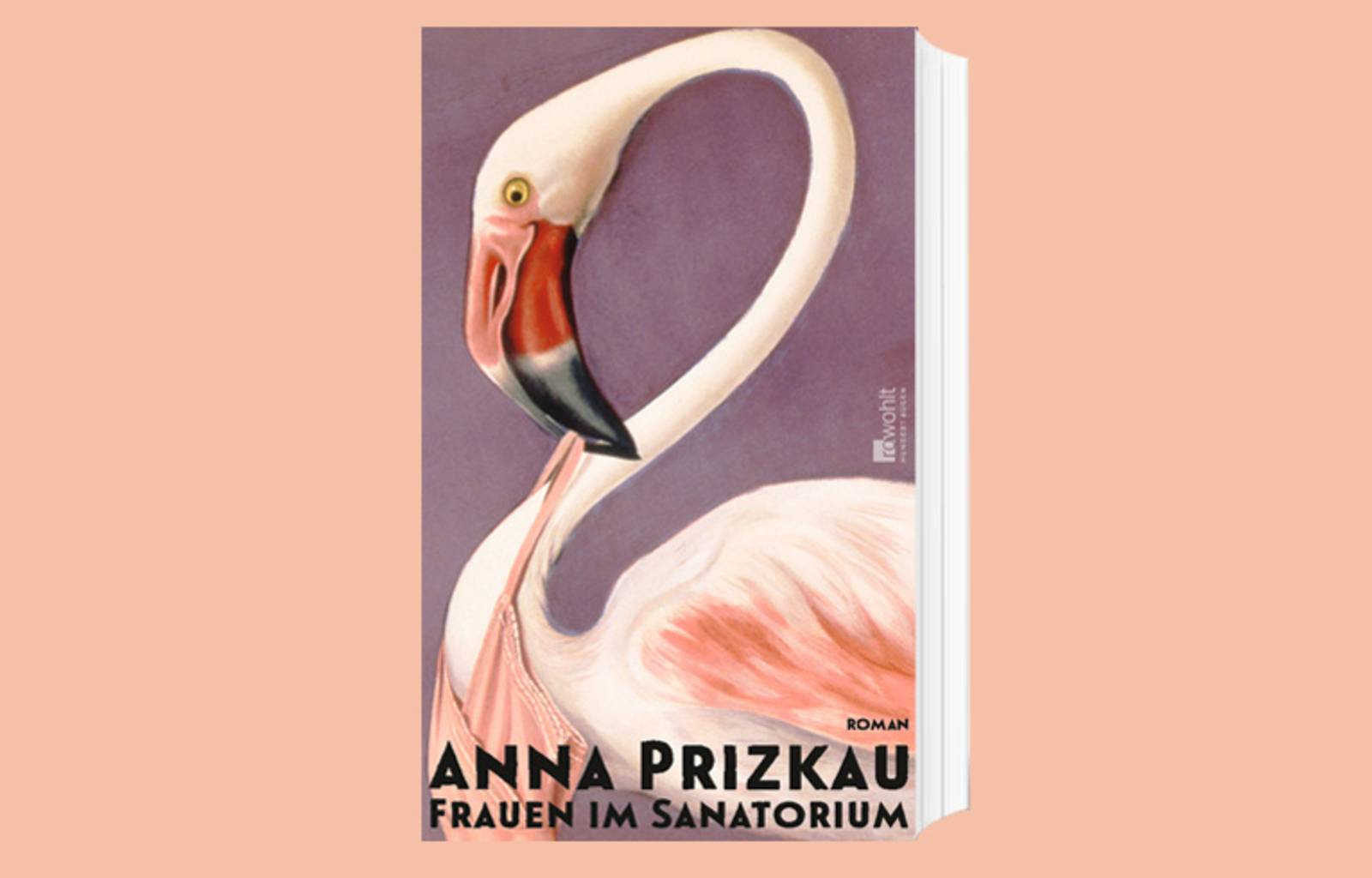 Das Cover zum Buch „Frauen im Sanatorium“ von Anna Prizkau