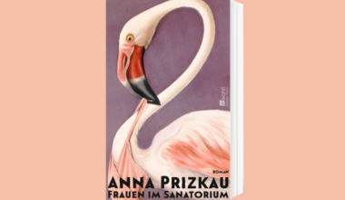 Das Cover zum Buch „Frauen im Sanatorium“ von Anna Prizkau