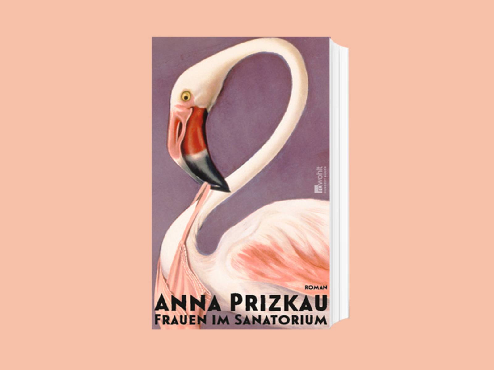 Das Cover zum Buch „Frauen im Sanatorium“ von Anna Prizkau