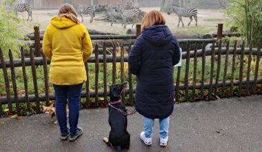 Stadtgarten veranstaltet Hundewochenende im Februar